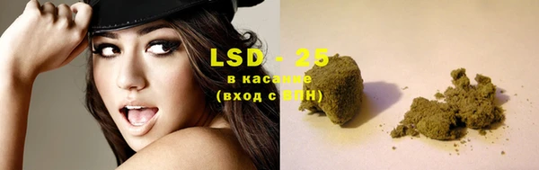 PSILOCYBIN Гусь-Хрустальный
