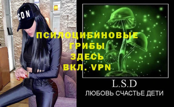 PSILOCYBIN Гусь-Хрустальный